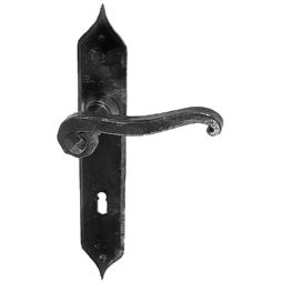 clicchi per vedere i particolari Guarnitura per porta Serie Castor