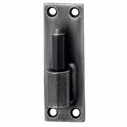 cliquez ici pour voir les détails Gond sur plaque